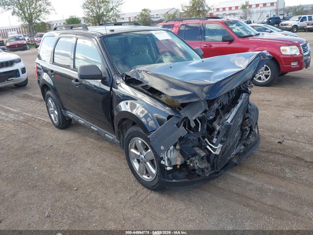 Salvage Ford Escape Image