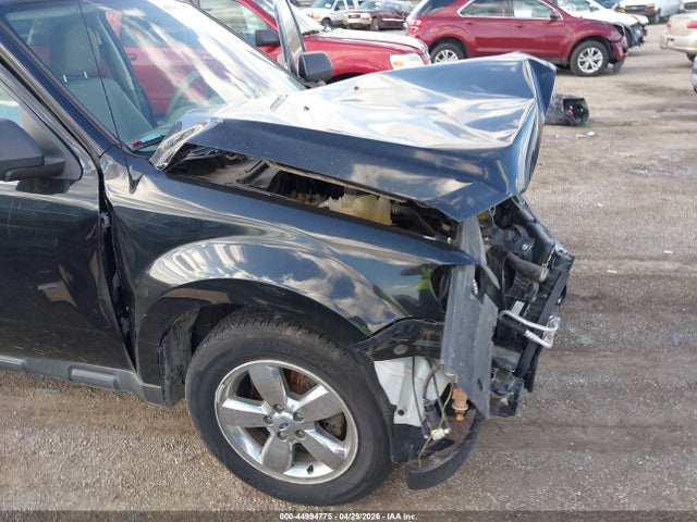 Ford Escape Xlt