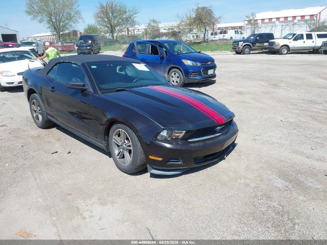 Salvage Ford Mustang Image