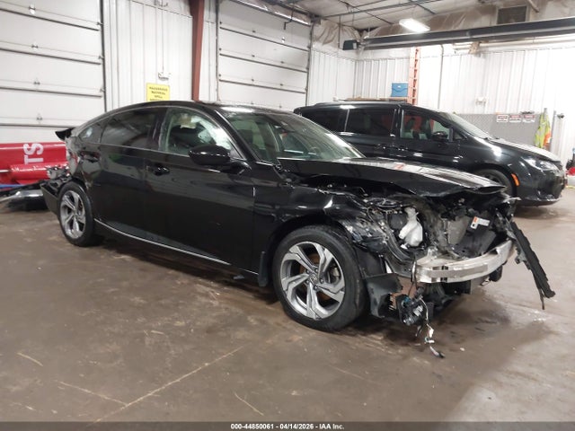 Salvage Honda Accord Image