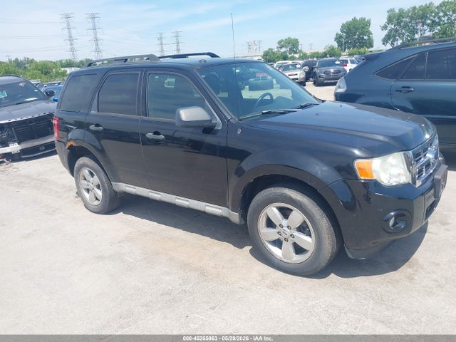 Salvage Ford Escape Image