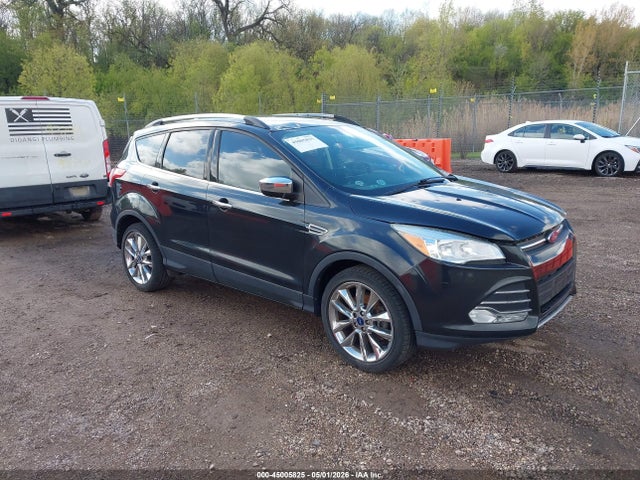 Salvage Ford Escape Image