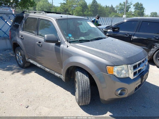 Salvage Ford Escape Image