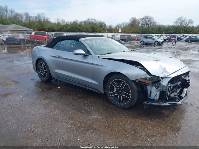 Salvage Ford Mustang Image