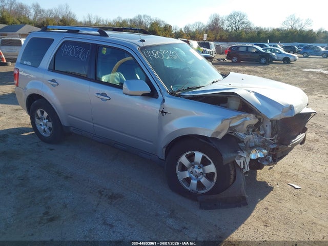 Salvage Ford Escape Image