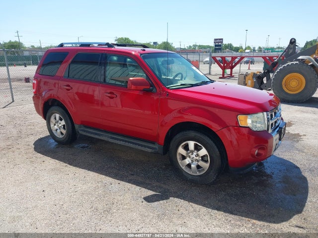 Salvage Ford Escape Image