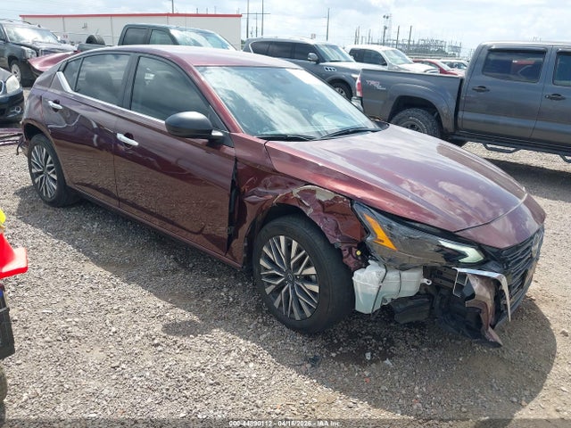 Salvage Nissan Altima Image