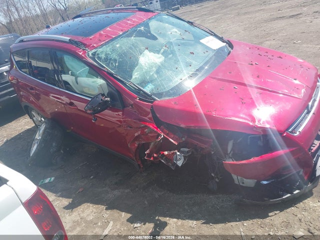 Salvage Ford Escape Image