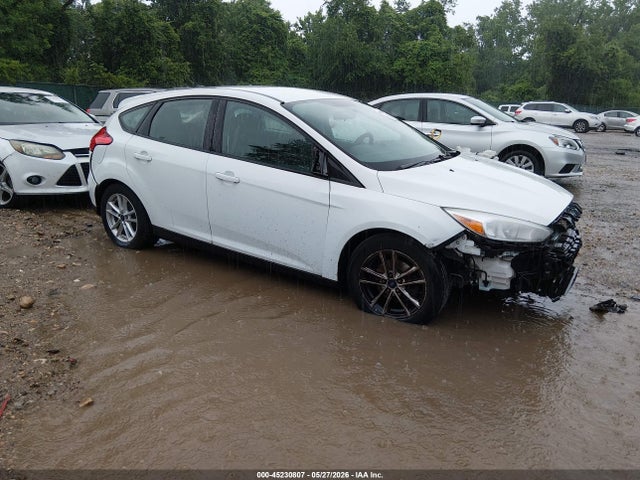 Salvage Ford Focus Image