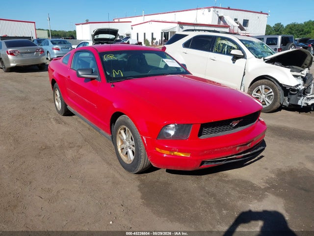 Salvage Ford Mustang Image