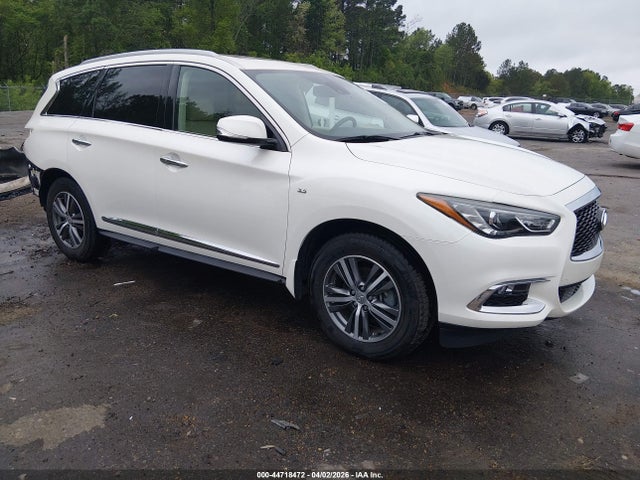 Salvage INFINITI Qx Image