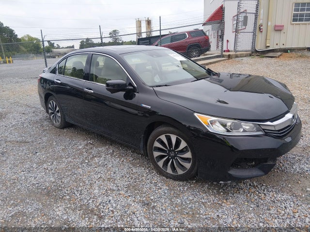 Salvage Honda Accord Image