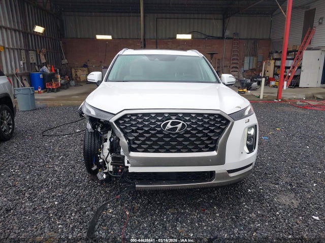 Hyundai PALISADE Calligraphy