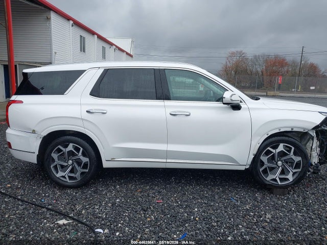 Hyundai PALISADE Calligraphy