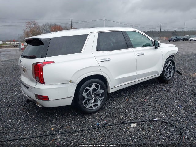 Hyundai PALISADE Calligraphy