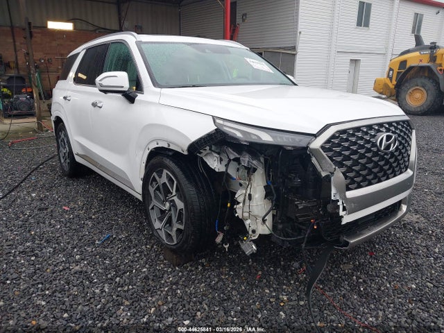 Hyundai PALISADE Calligraphy