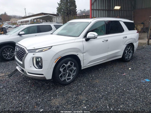 Hyundai PALISADE Calligraphy