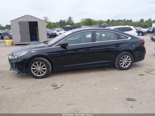 Hyundai SONATA Eco