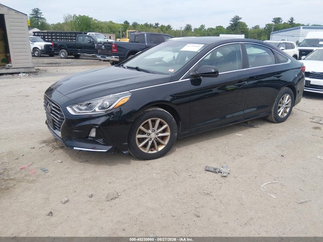 Hyundai SONATA Eco