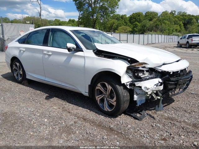 Salvage Honda Accord Image