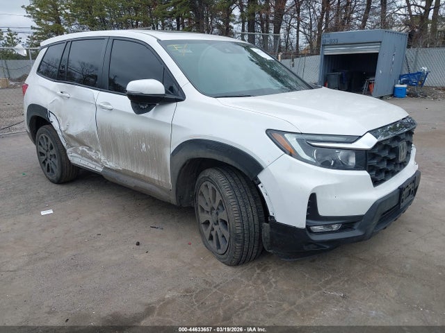 Salvage Honda Passport Image