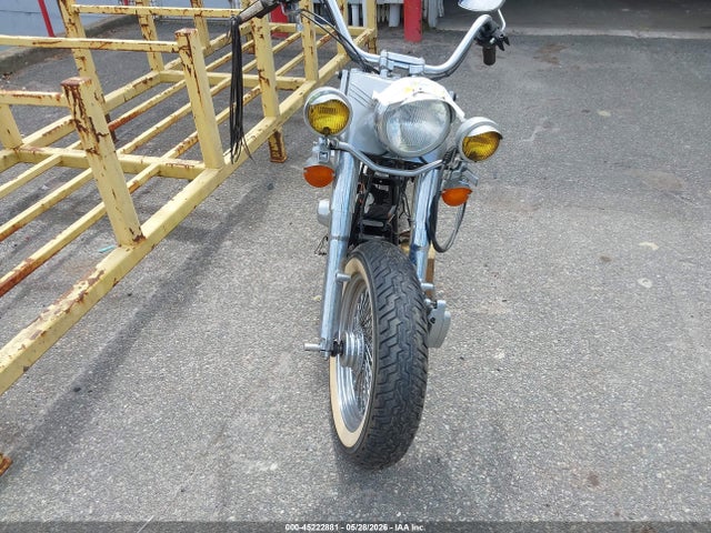 Harley-Davidson Flstc