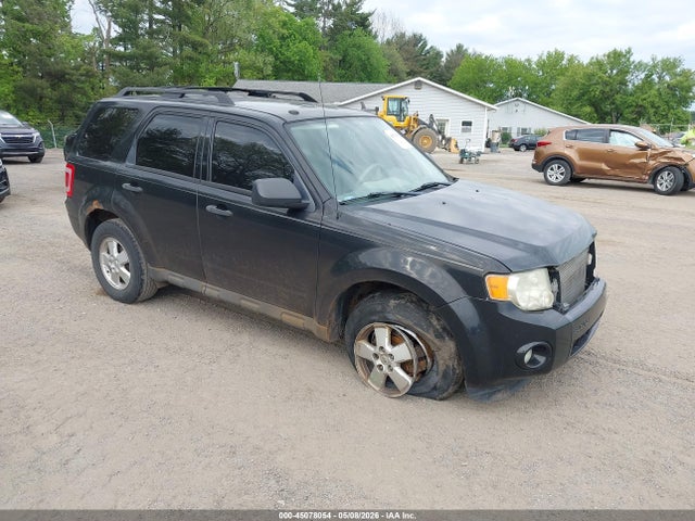 Salvage Ford Escape Image