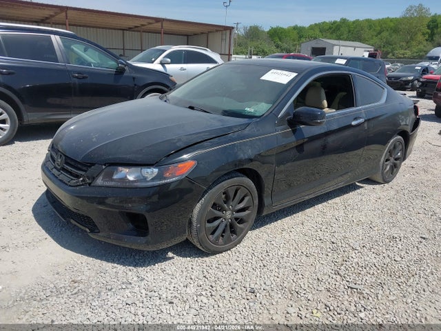 Honda Accord Ex-l
