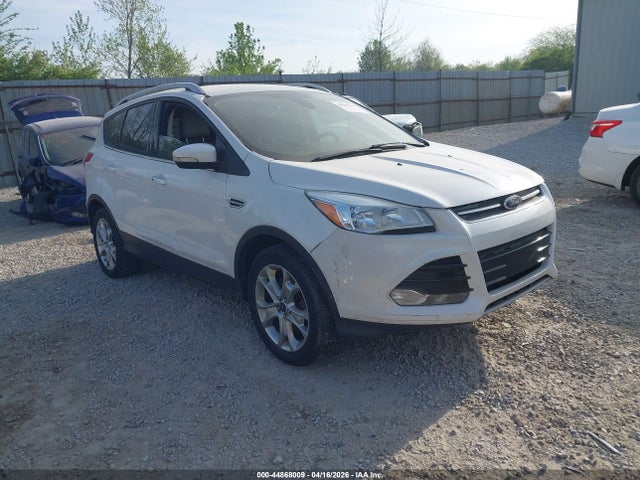 Salvage Ford Escape Image