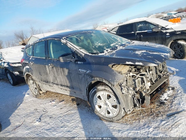 Salvage Ford Escape Image