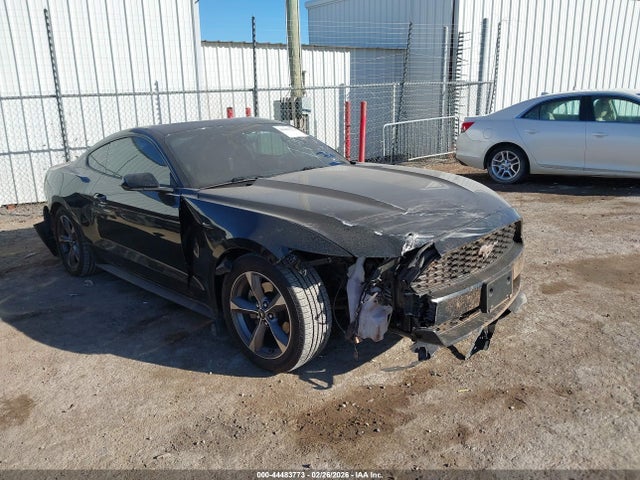 Salvage Ford Mustang Image