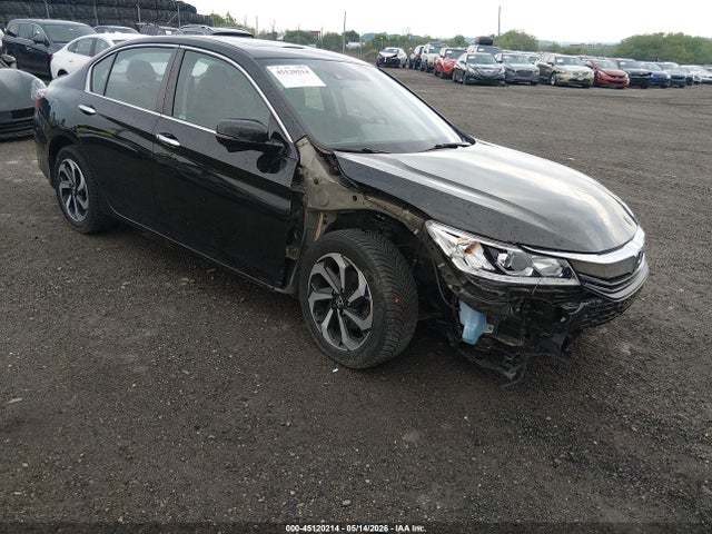 Salvage Honda Accord Image