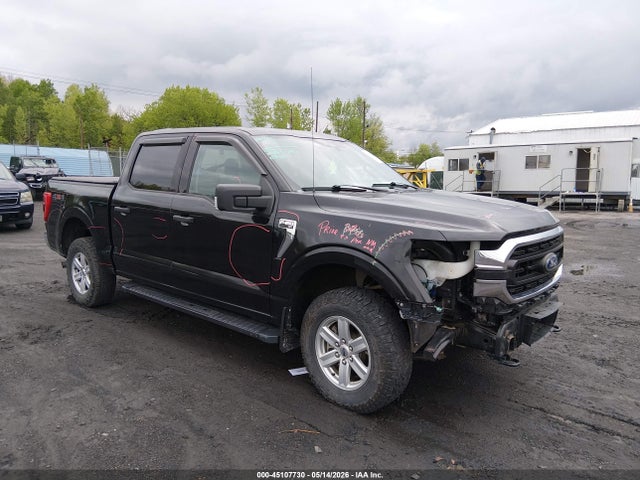 Salvage Ford F-150 Image