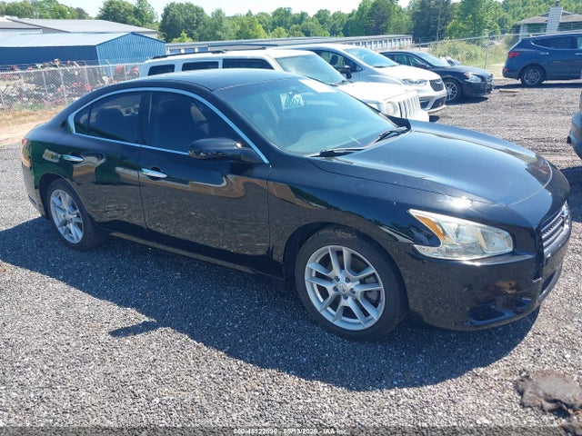 Salvage Nissan Maxima Image