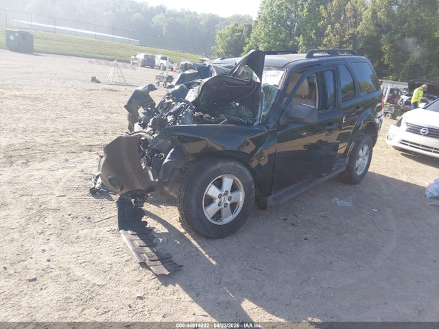 Ford Escape Xlt