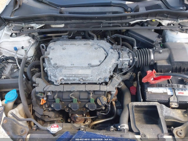 Honda Accord Ex-l V-6