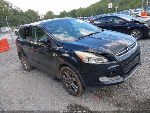 Salvage Ford Escape Image