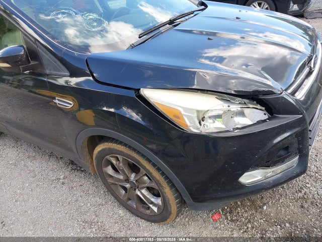 Ford Escape Sel