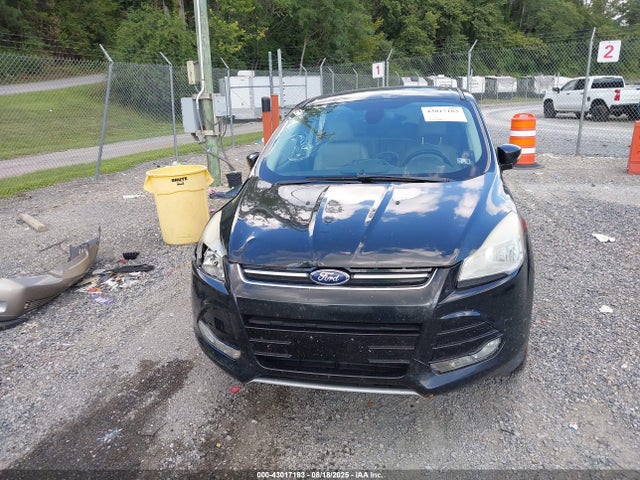 Ford Escape Sel