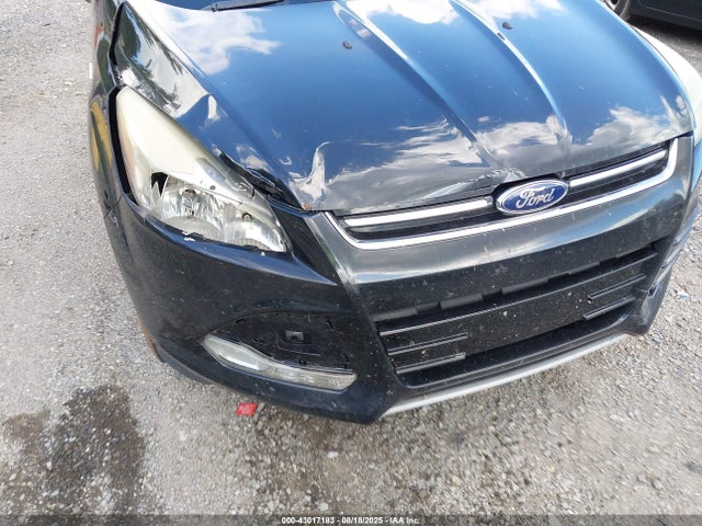 Ford Escape Sel