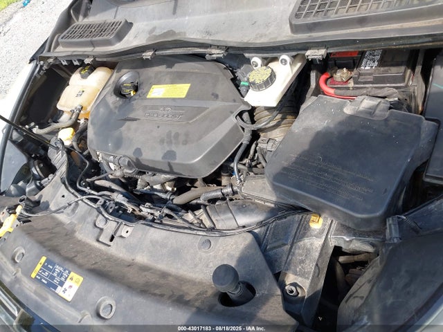 Ford Escape Sel