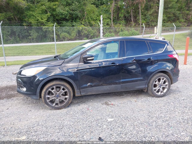 Ford Escape Sel