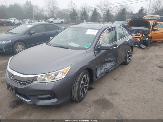 Honda Accord Ex-l