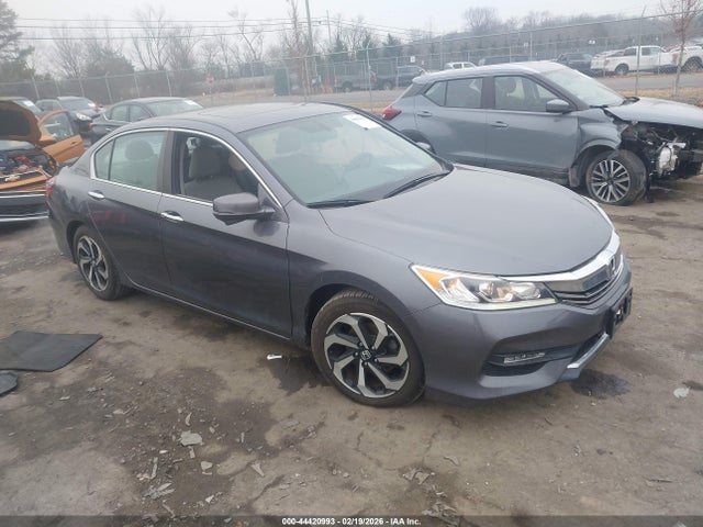 Salvage Honda Accord Image