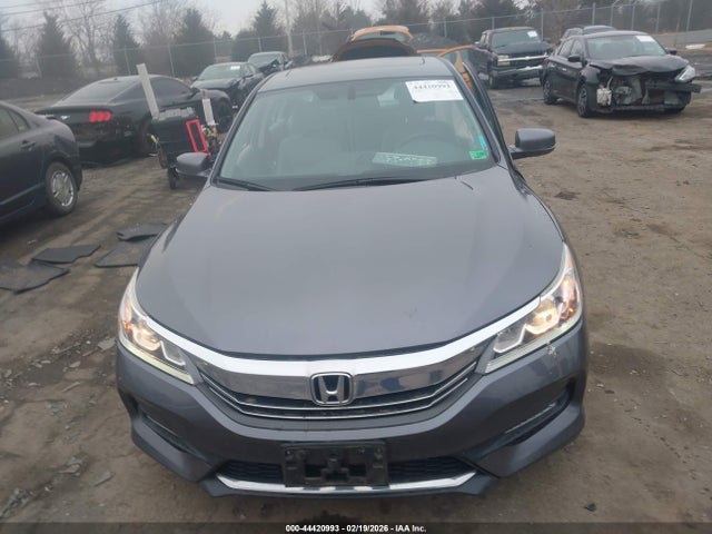 Honda Accord Ex-l