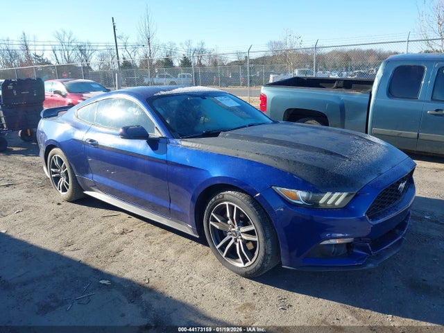 Salvage Ford Mustang Image