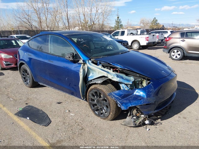 Salvage Tesla Model Y Image