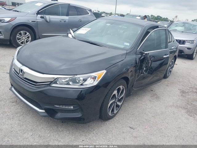 Honda Accord Ex-l