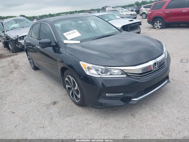 Salvage Honda Accord Image