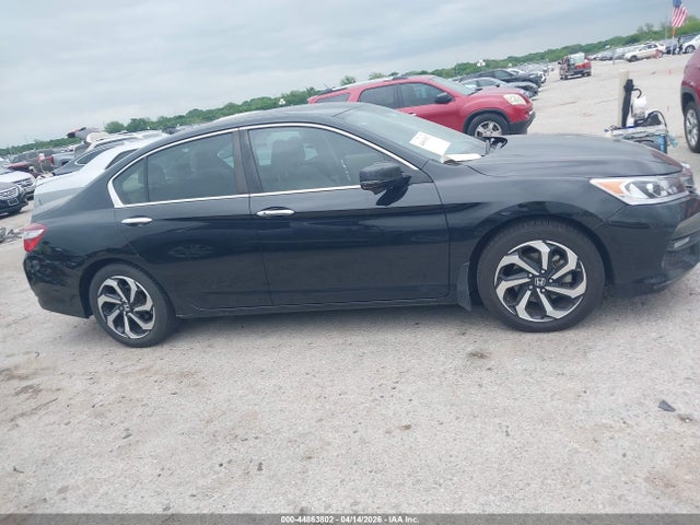 Honda Accord Ex-l